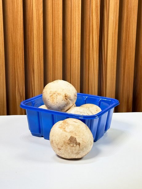 Champiñones en bandeja de PET